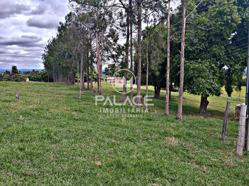 Sítio à venda com 3 quartos, 169400m² - Foto 8