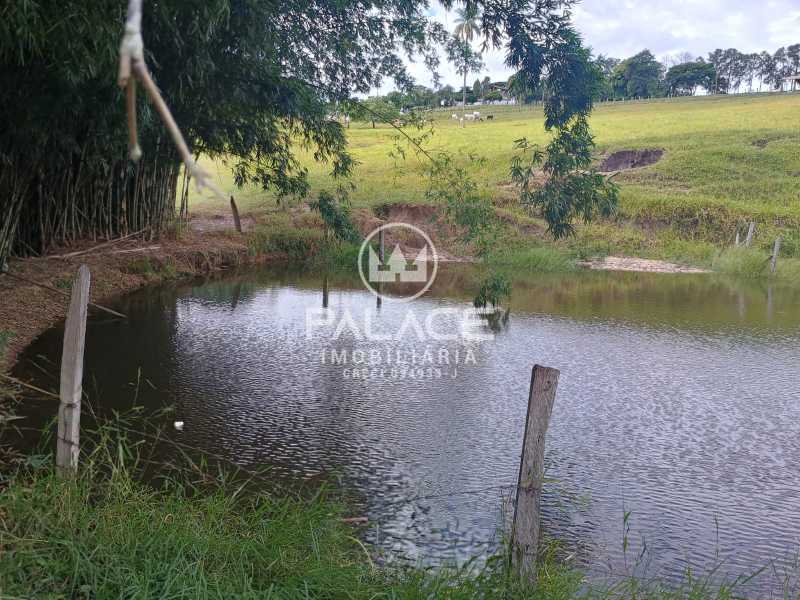 Sítio à venda com 3 quartos, 169400m² - Foto 10