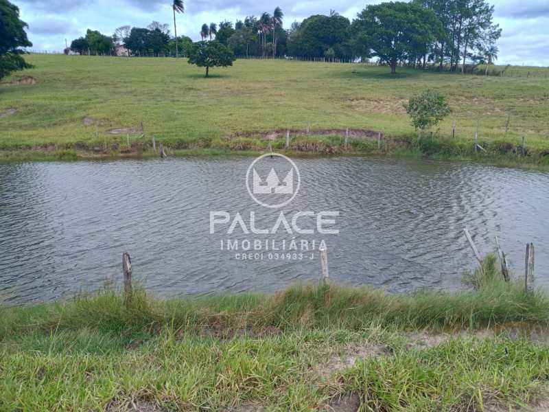 Sítio à venda com 3 quartos, 169400m² - Foto 11