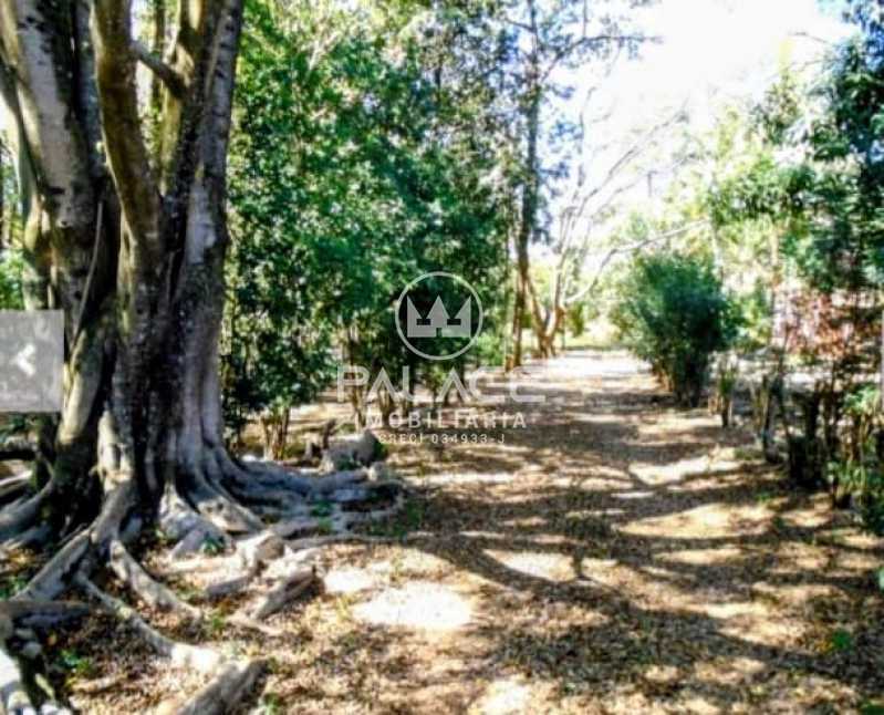 Chácara para alugar com 1 quarto, 55m² - Foto 12