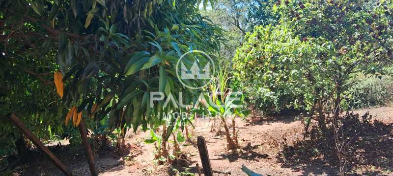 Chácara à venda com 3 quartos, 250m² - Foto 17