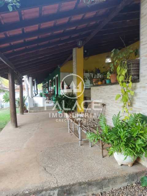 Chácara, 3 quartos, 960 m² - Foto 3