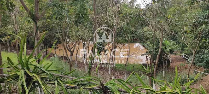 Sítio, 3 hectares - Foto 1