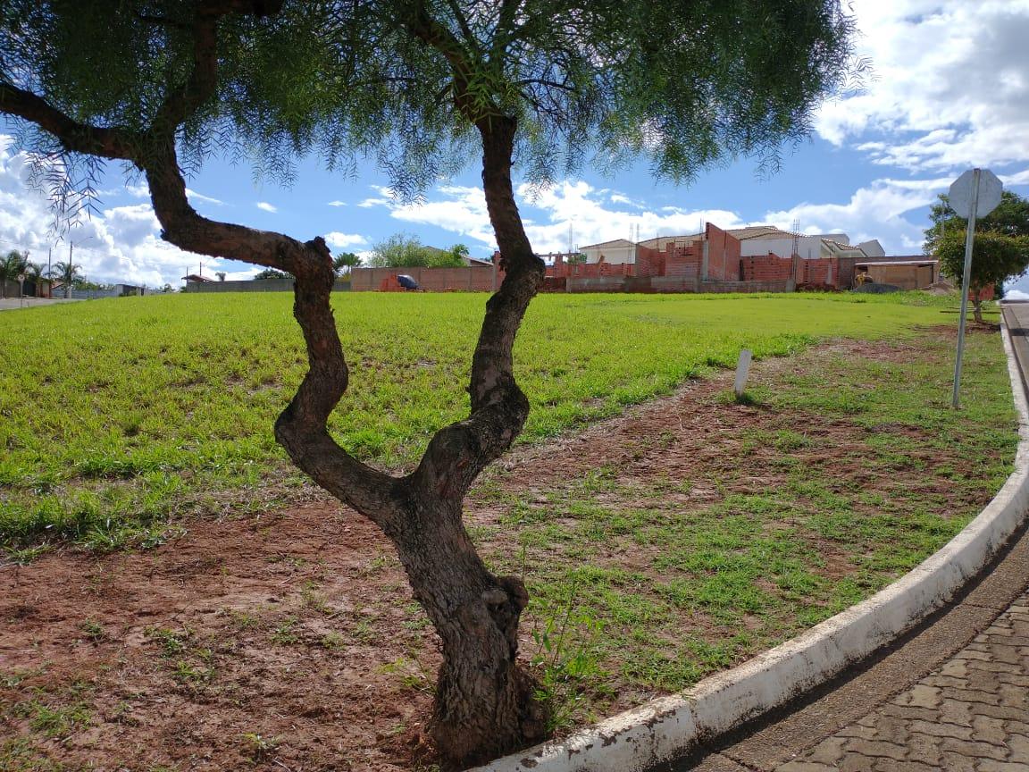 Terreno à venda, 1340 - Foto 4