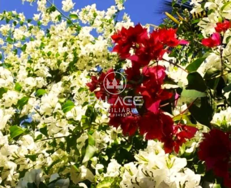 Chácara, 4 quartos, 5000 m² - Foto 3