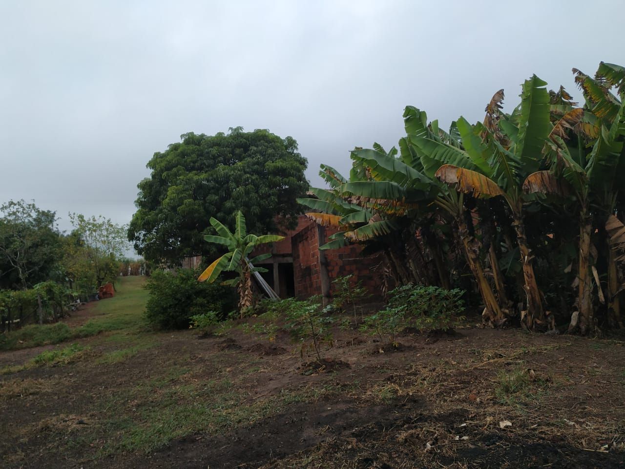 Chácara à venda com 3 quartos, 210m² - Foto 22