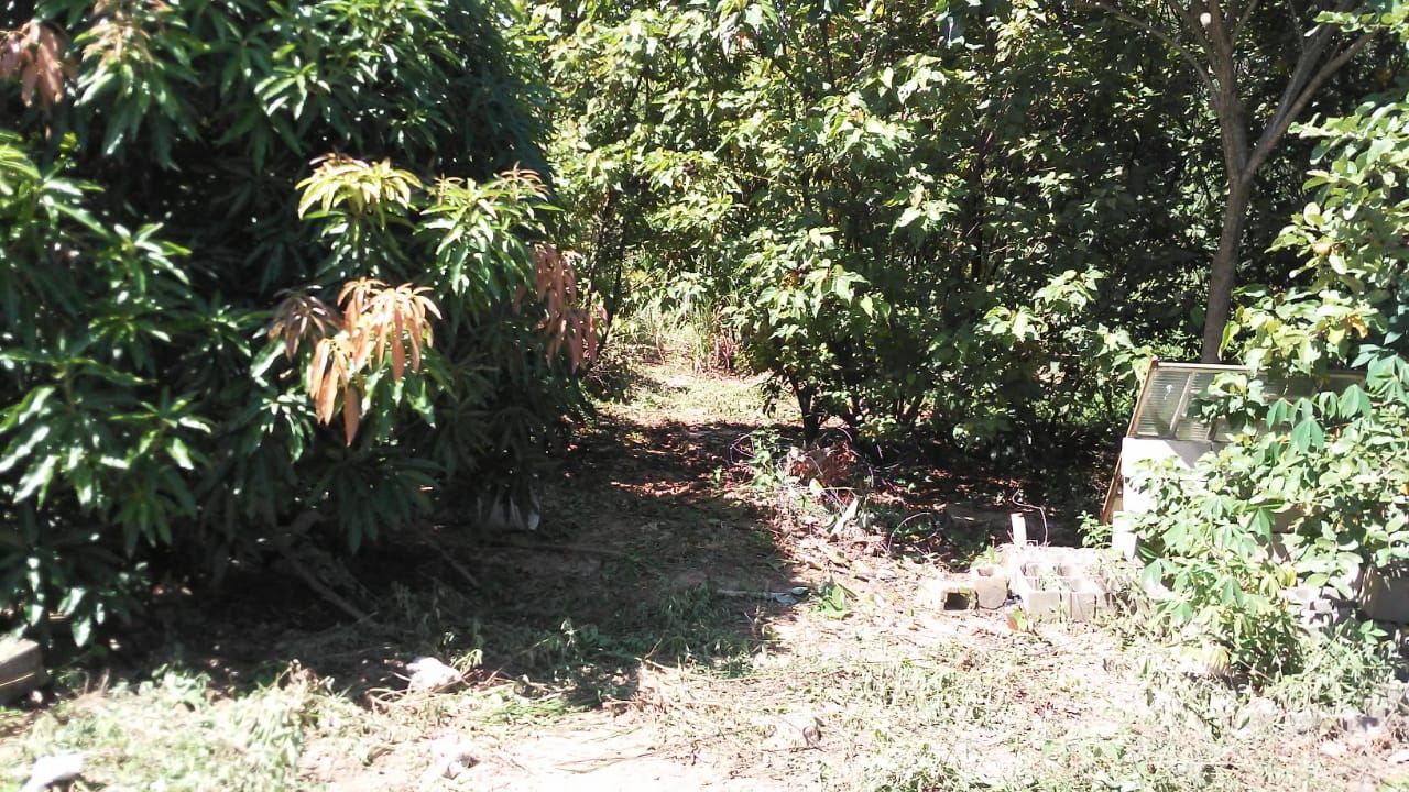 Terreno à venda, 1600 - Foto 1