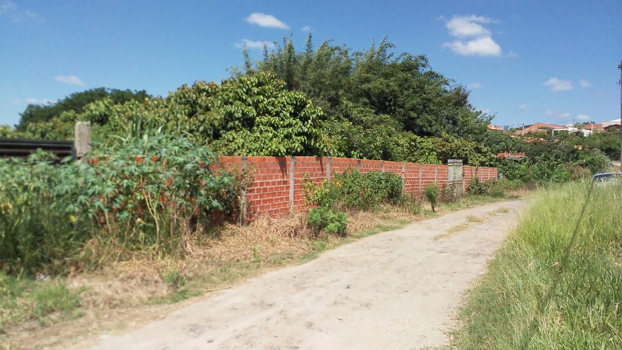 Terreno à venda, 1600 - Foto 5