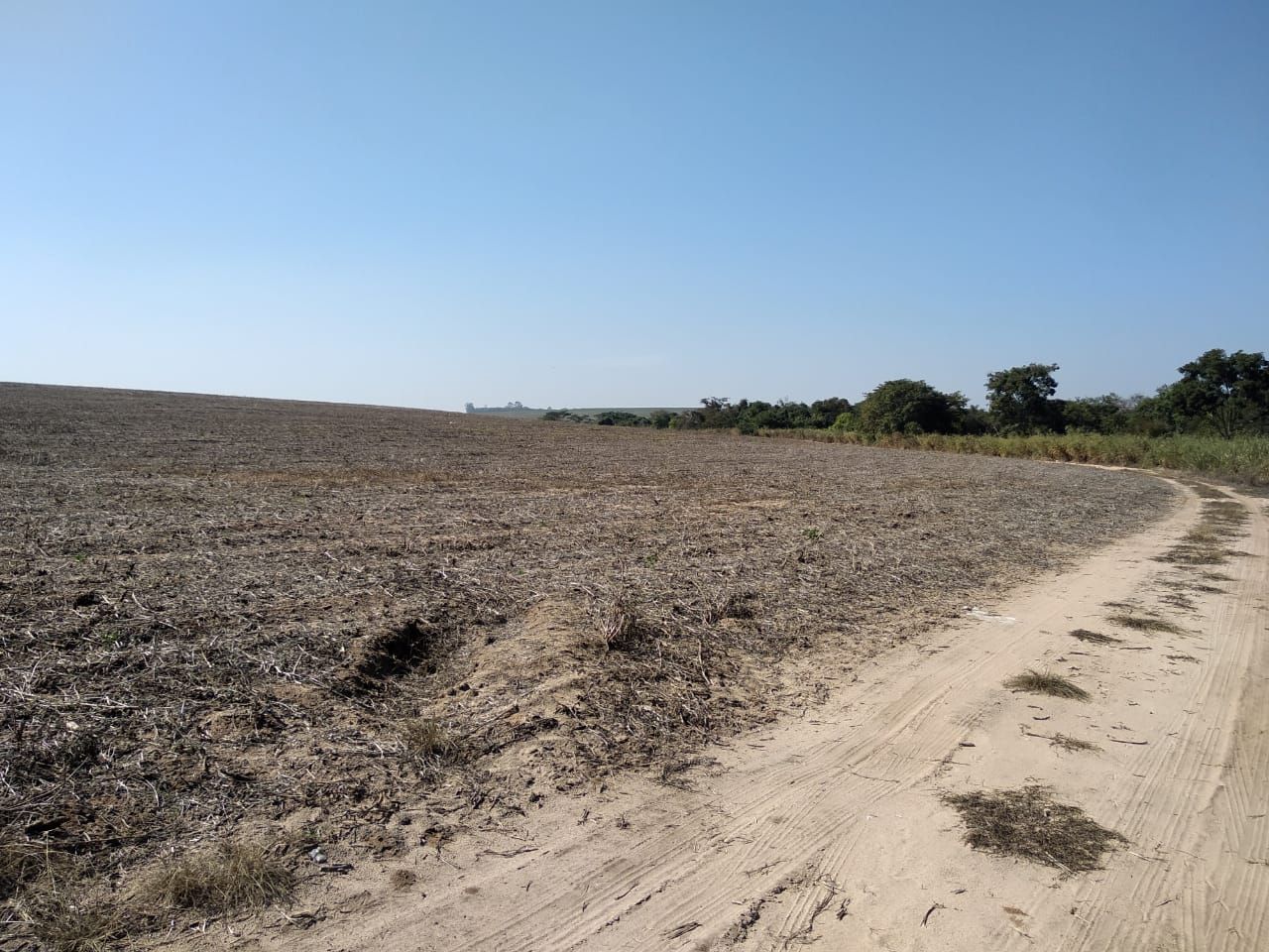 Fazenda-Sítio-Chácara, 344 hectares - Foto 2