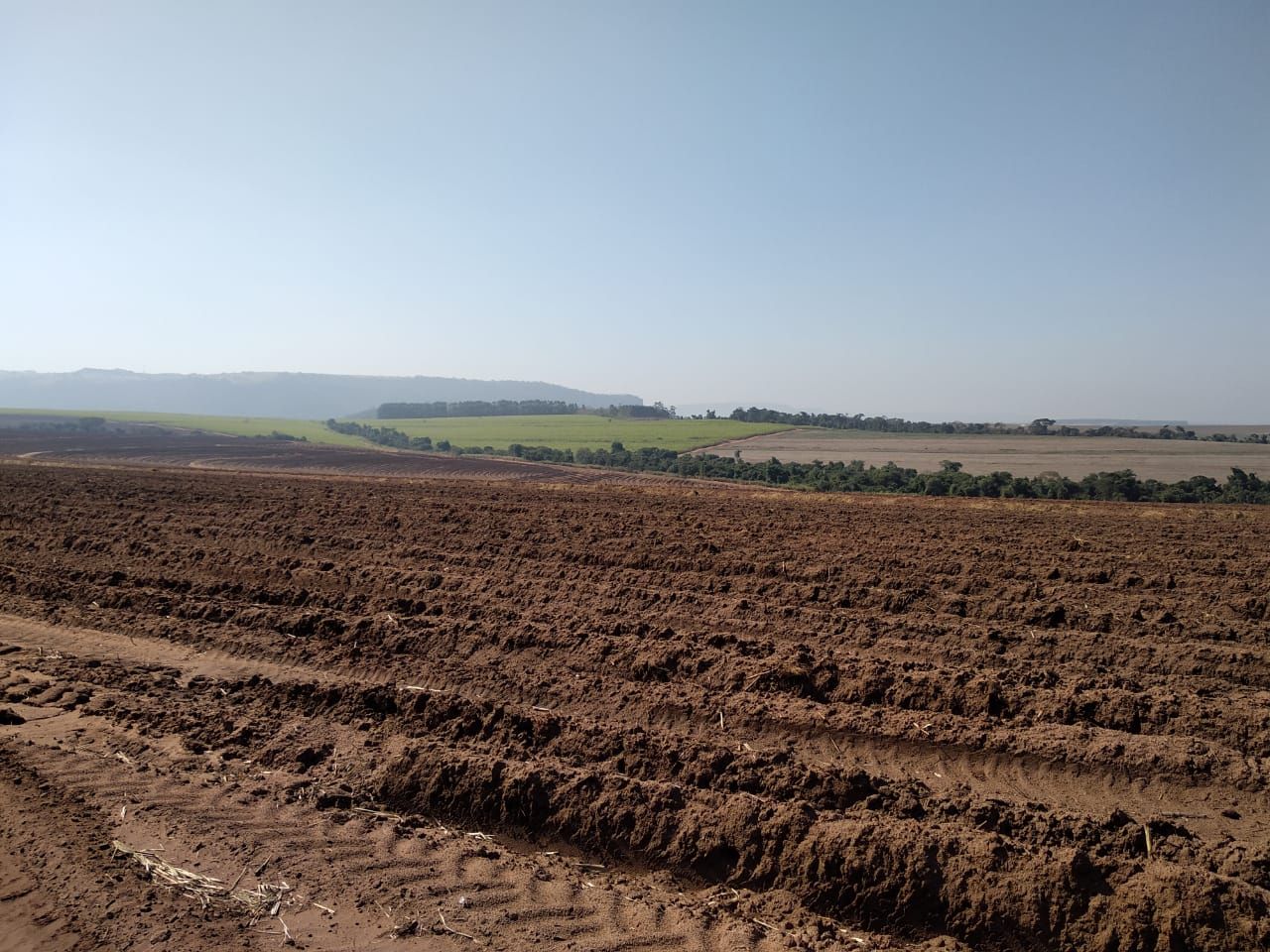 Fazenda à venda, 3436400 - Foto 6