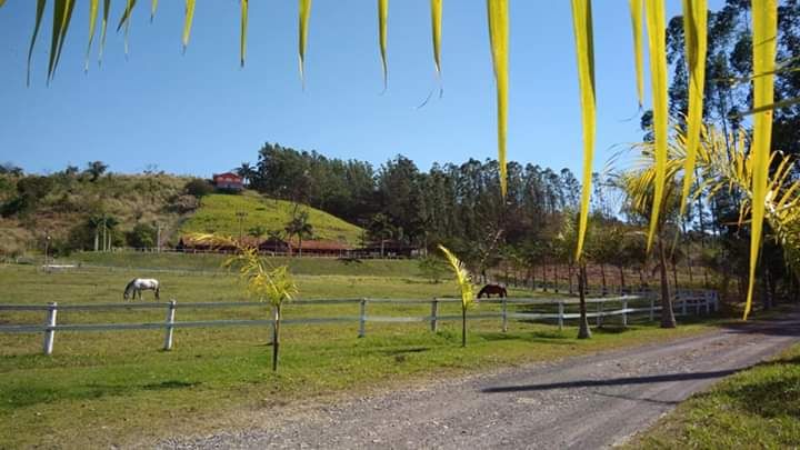 Terreno à venda - Foto 3