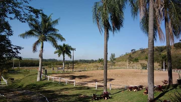 Terreno à venda - Foto 8