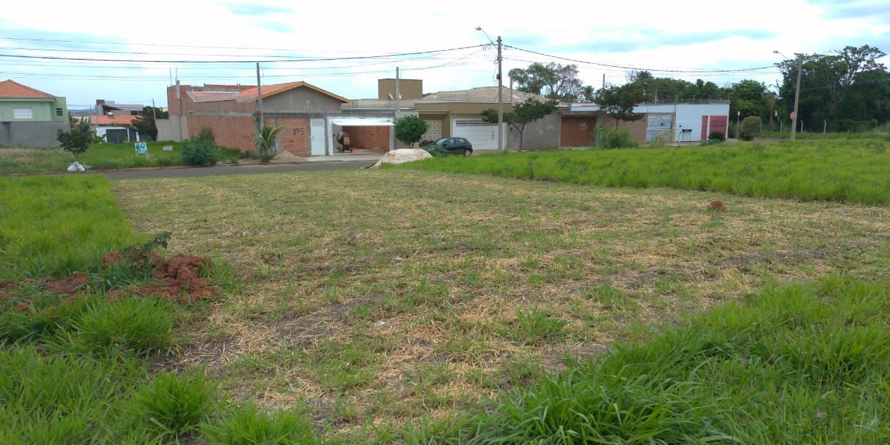 Terreno à venda, 250 - Foto 2