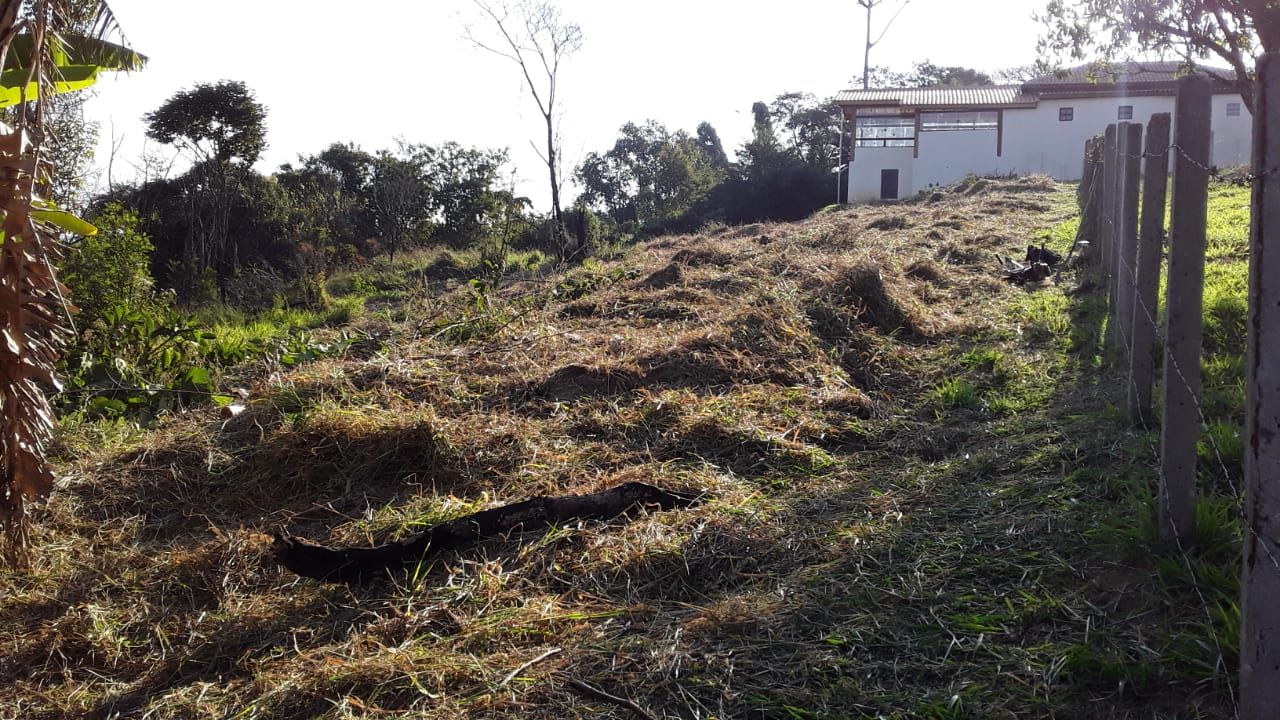 Terreno à venda, 700 - Foto 3