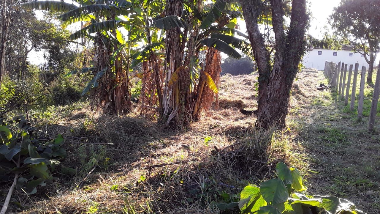 Terreno à venda, 700 - Foto 4