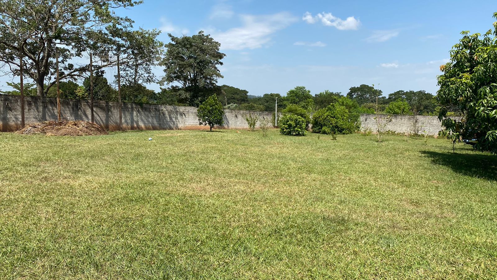 Chácara à venda com 8 quartos, 800m² - Foto 6