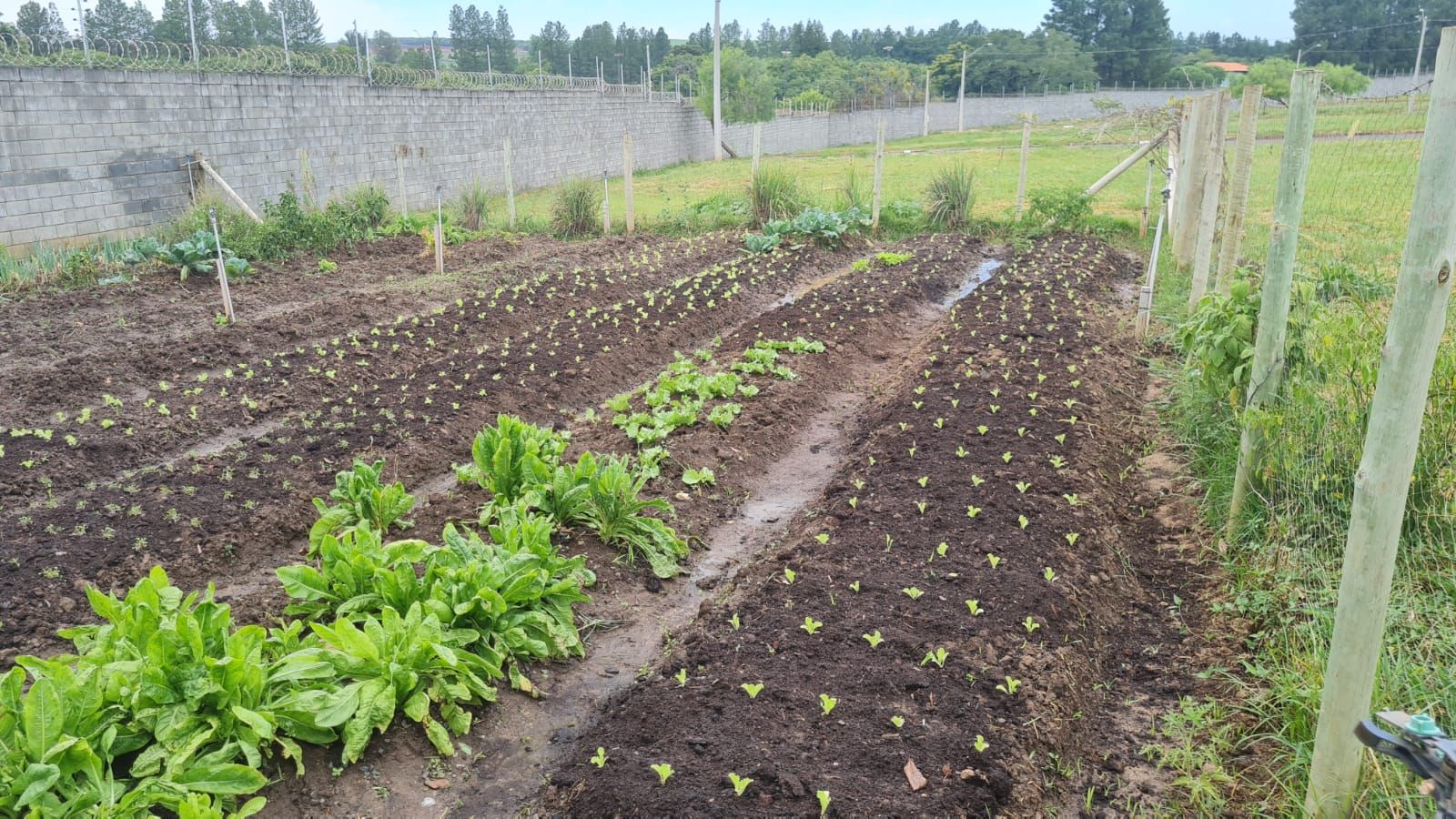 Terreno à venda, 300 - Foto 6