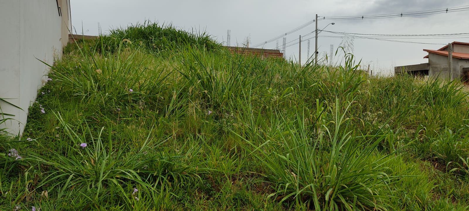 Terreno à venda, 286 - Foto 2