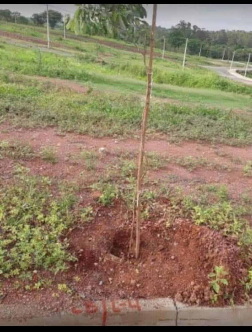 Terreno à venda, 200 - Foto 2