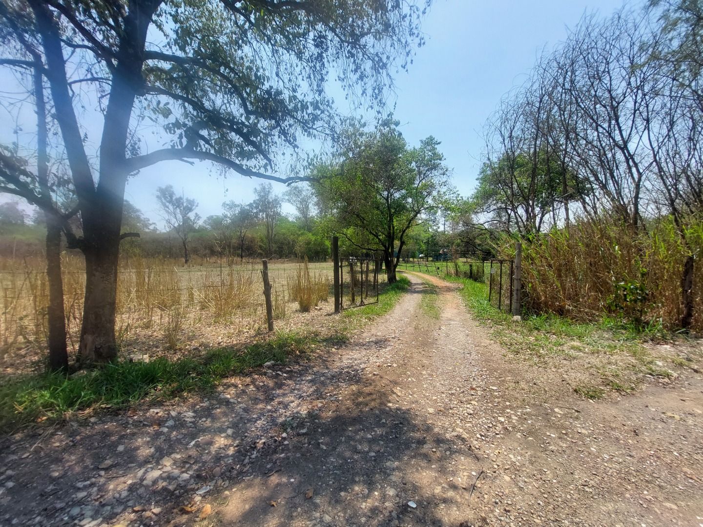 Fazenda à venda, 150m² - Foto 11