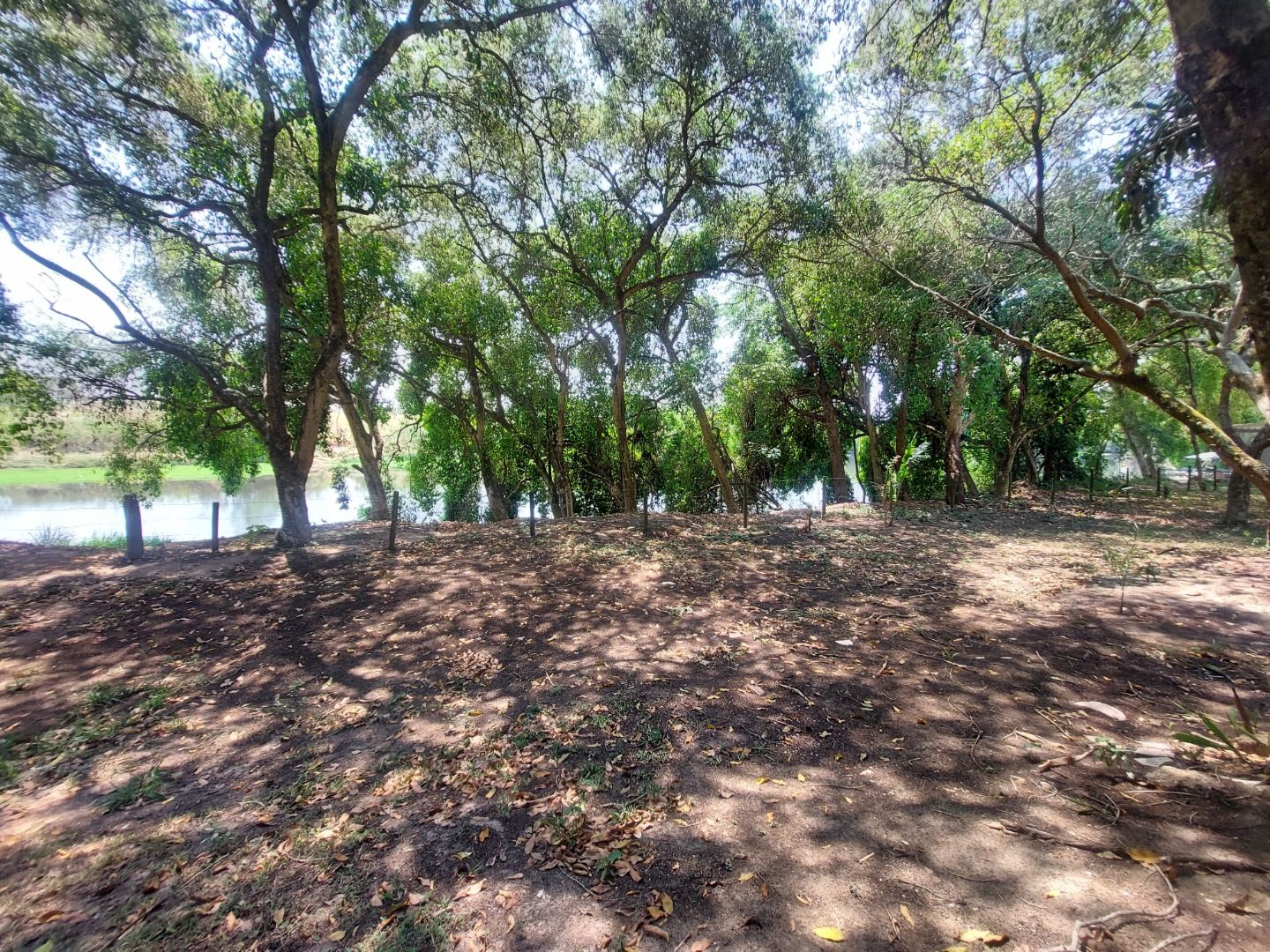 Fazenda à venda, 150m² - Foto 12