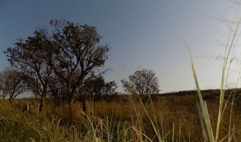 Fazenda à venda, 150m² - Foto 6