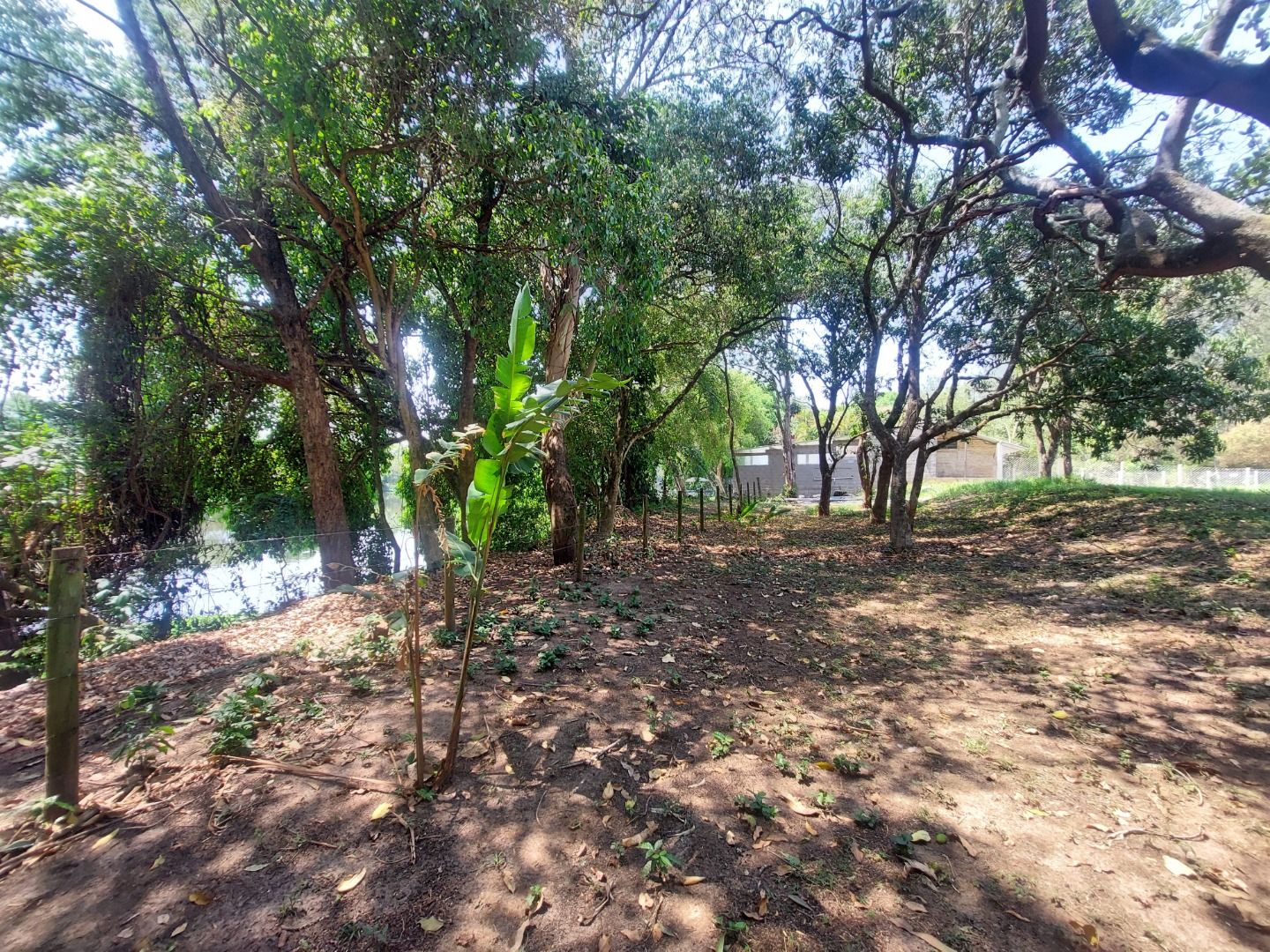 Fazenda à venda, 150m² - Foto 7