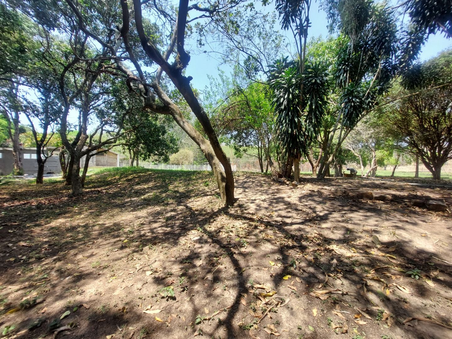 Fazenda à venda, 150m² - Foto 8