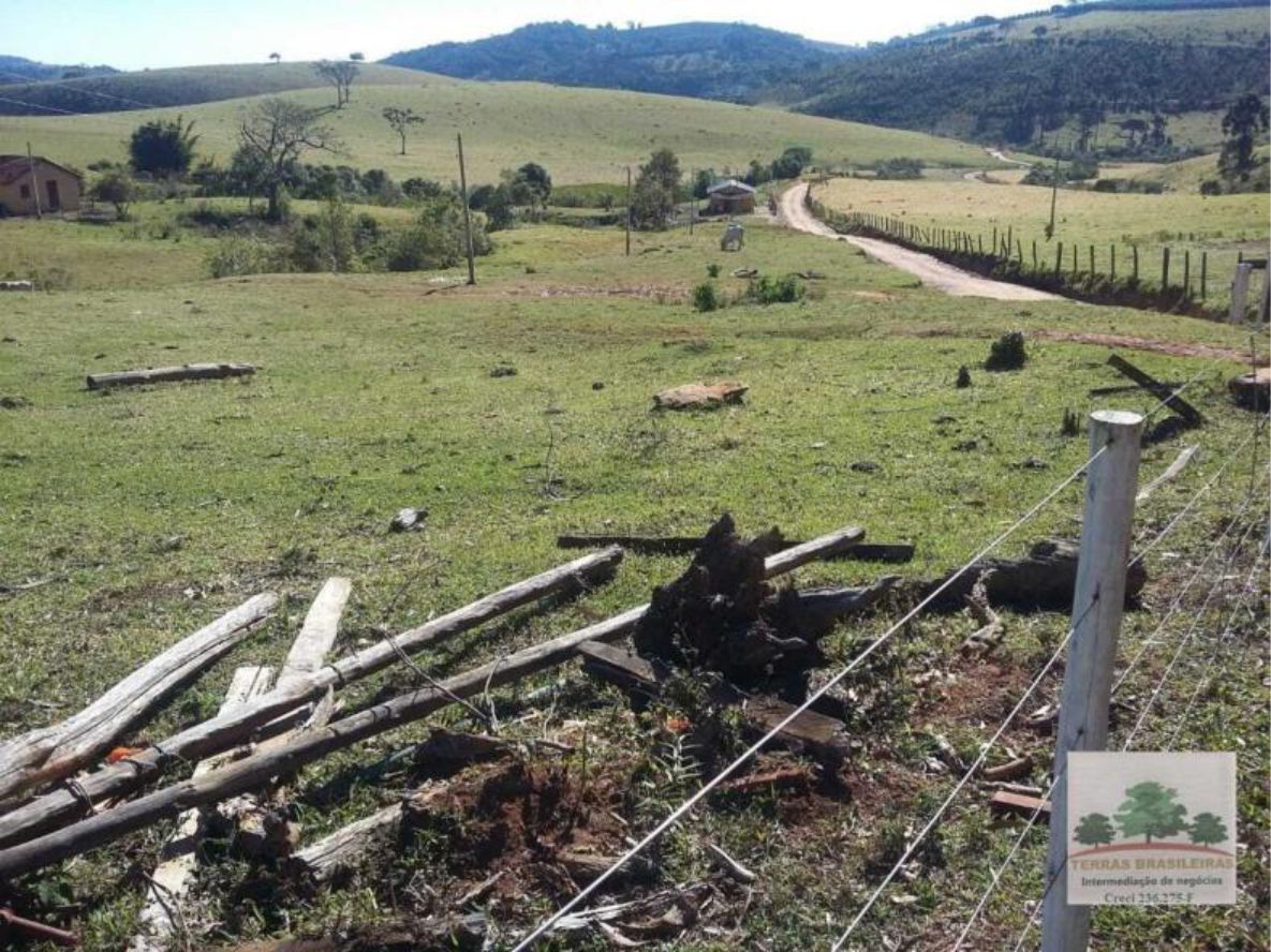 Fazenda à venda com 12 quartos, 2000m² - Foto 13