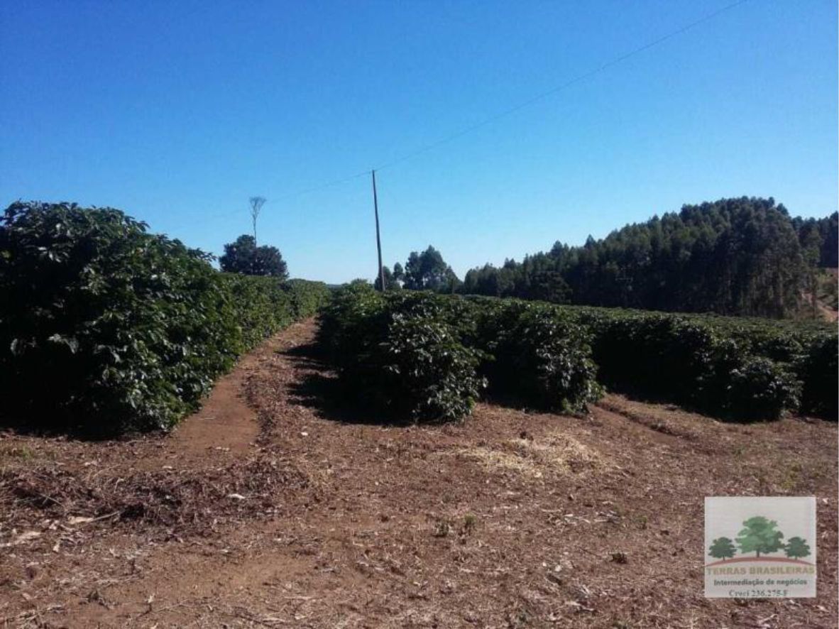 Fazenda à venda com 12 quartos, 2000m² - Foto 14