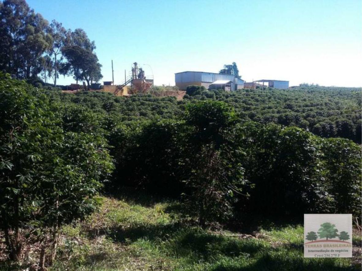 Fazenda à venda com 12 quartos, 2000m² - Foto 15