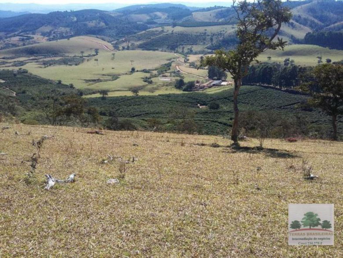 Fazenda à venda com 12 quartos, 2000m² - Foto 18