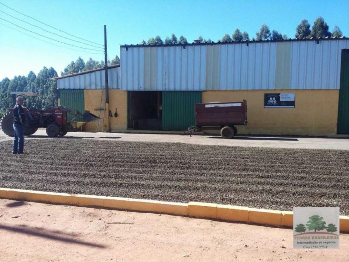 Fazenda à venda com 12 quartos, 2000m² - Foto 20