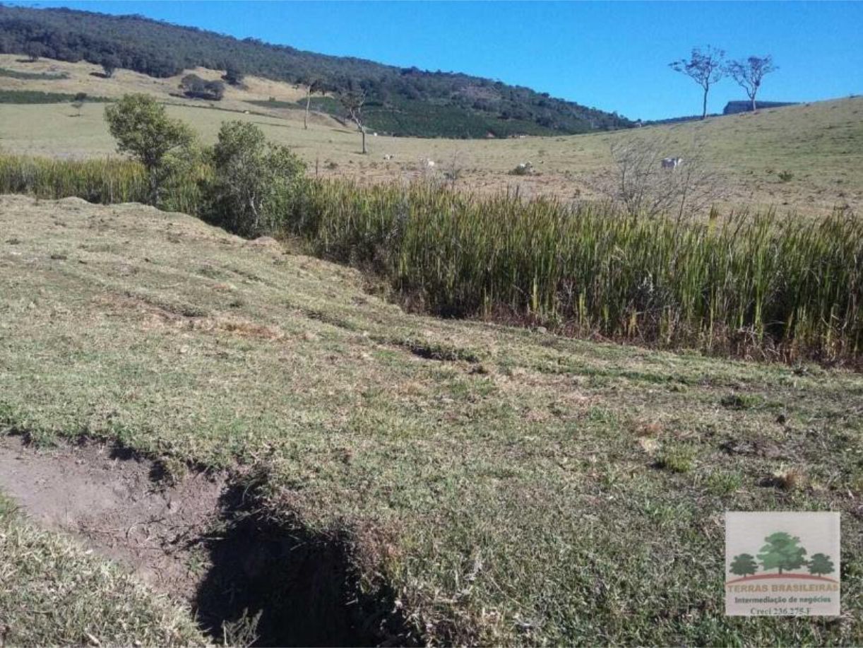 Fazenda à venda com 12 quartos, 2000m² - Foto 24