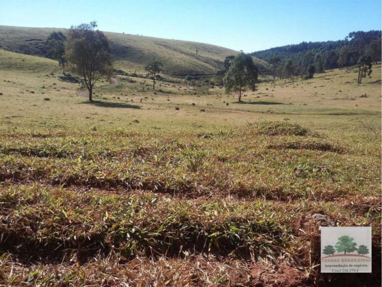 Fazenda à venda com 12 quartos, 2000m² - Foto 3