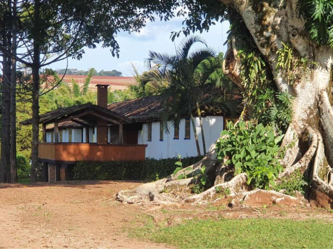 Fazenda à venda com 10 quartos, 1000m² - Foto 14