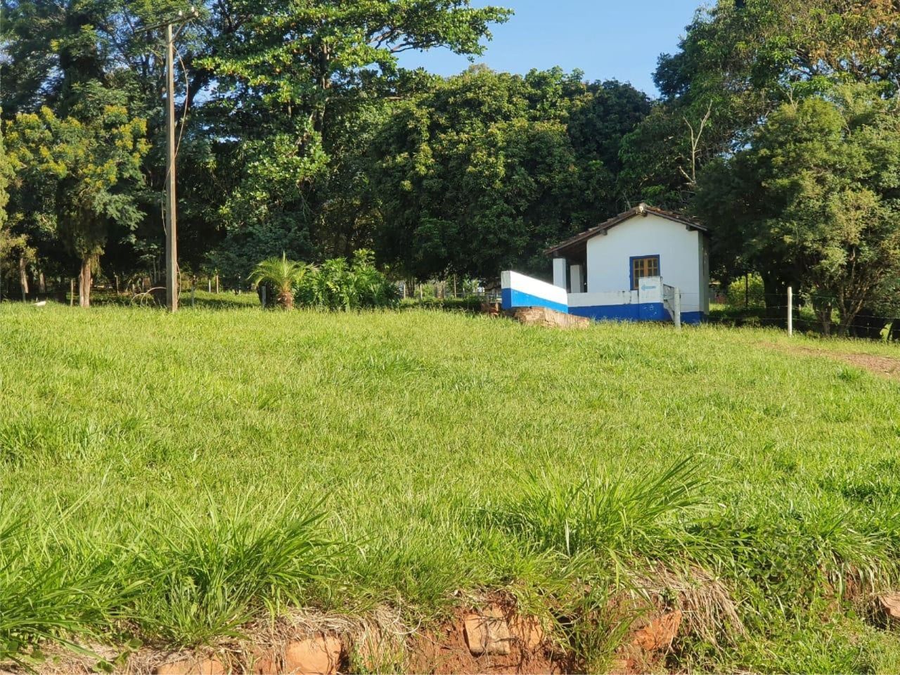 Fazenda à venda com 10 quartos, 1000m² - Foto 16