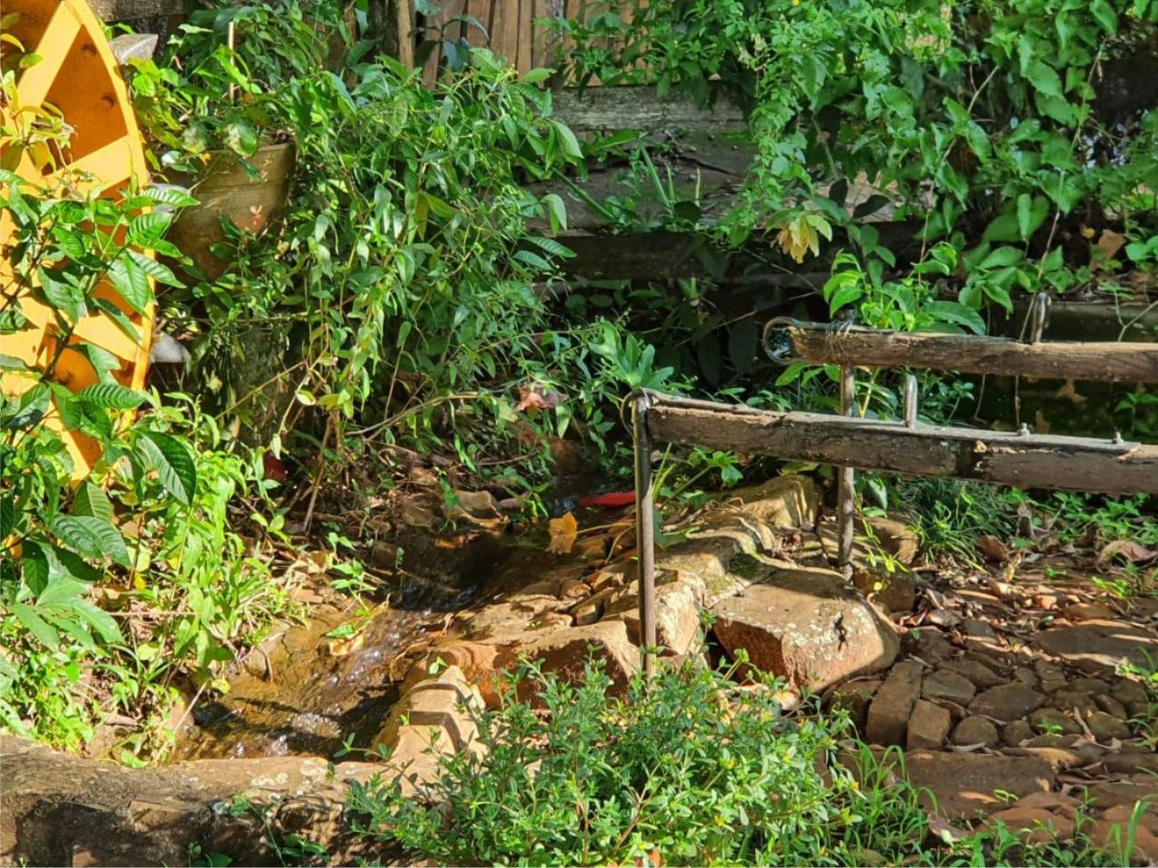 Fazenda à venda com 10 quartos, 1000m² - Foto 9