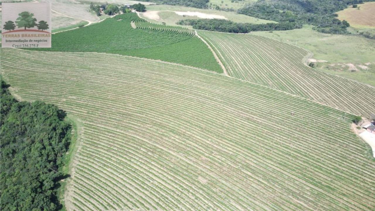 Fazenda à venda com 10 quartos, 2000m² - Foto 9