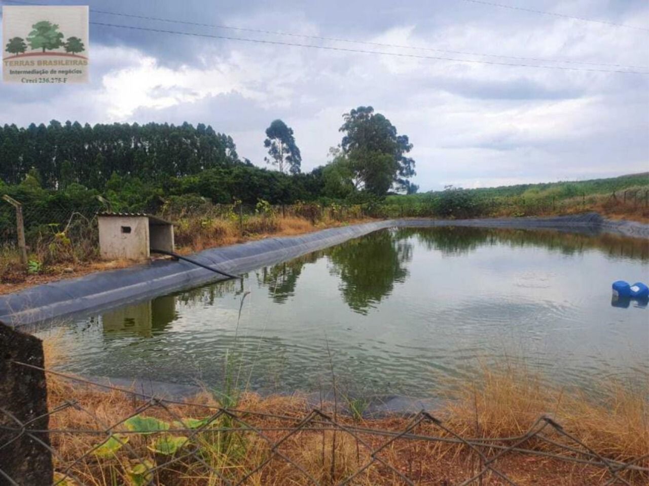 Fazenda à venda com 10 quartos, 2000m² - Foto 11