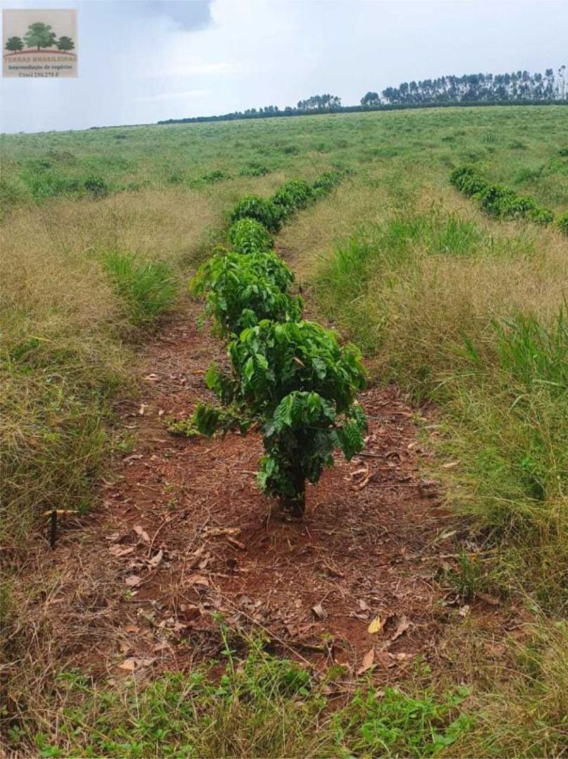 Fazenda à venda com 10 quartos, 2000m² - Foto 16