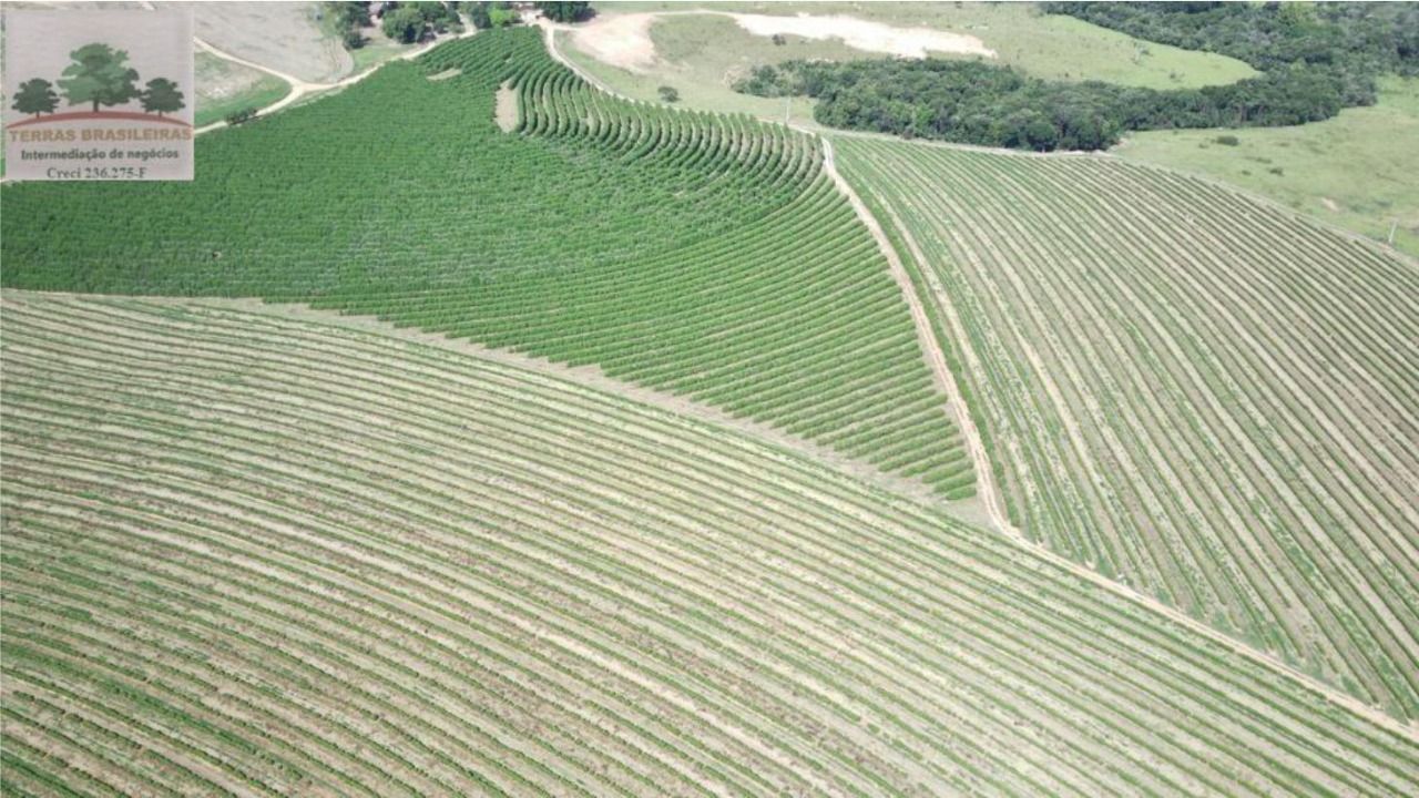 Fazenda à venda com 10 quartos, 2000m² - Foto 7