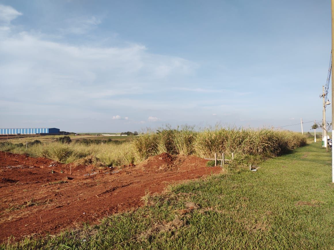 Terreno para alugar, 1100 - Foto 11