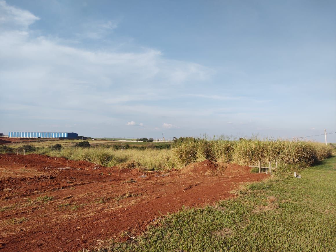 Terreno para alugar, 1100 - Foto 14