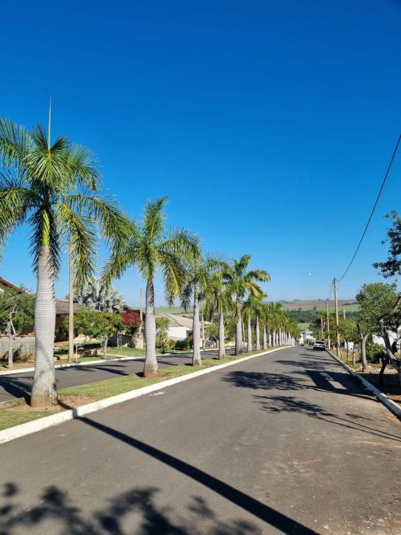 Terreno à venda, 465 - Foto 6