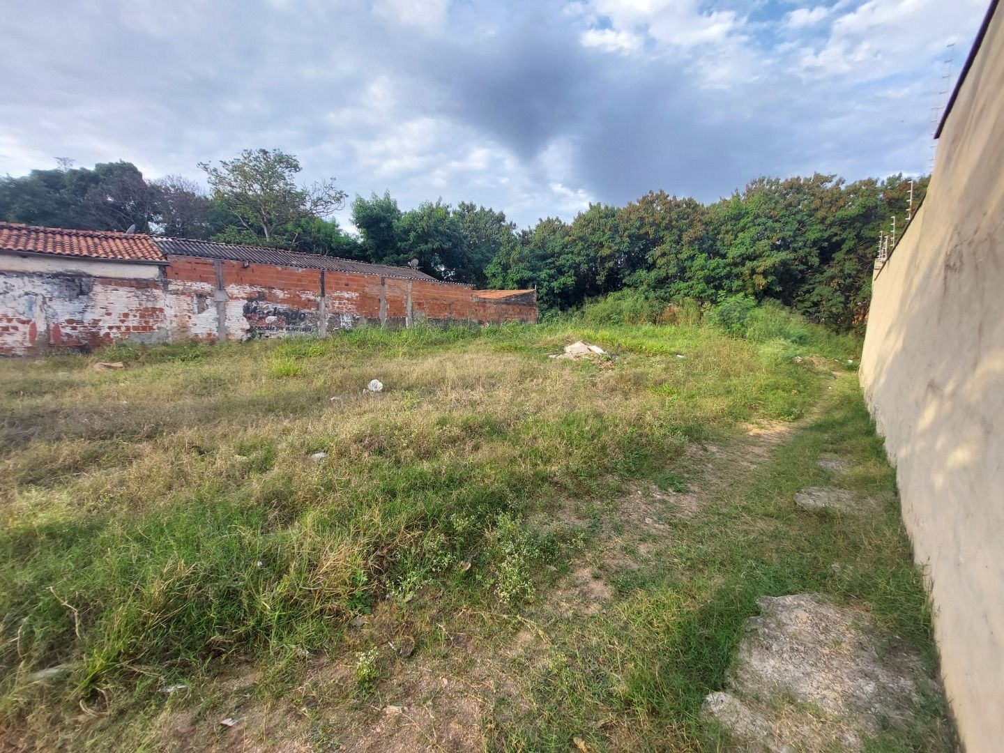 Terreno à venda, 976 - Foto 4