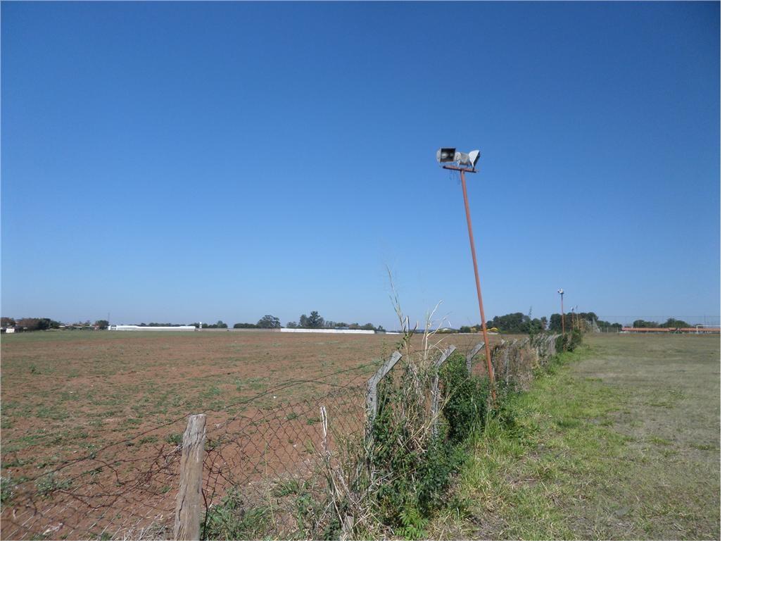 Loja-Salão, 105000 m² - Foto 3