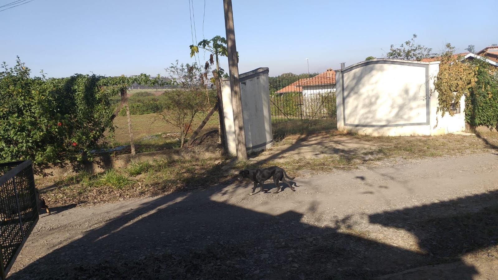 Terreno à venda, 1800 - Foto 4