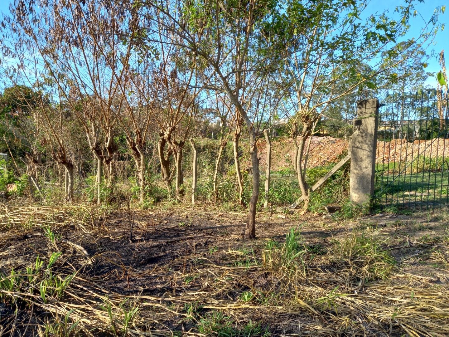 Terreno à venda, 2100 - Foto 2