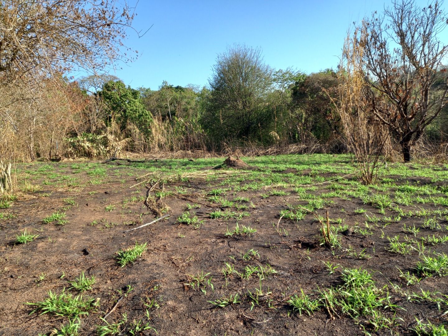 Terreno à venda, 2100 - Foto 3